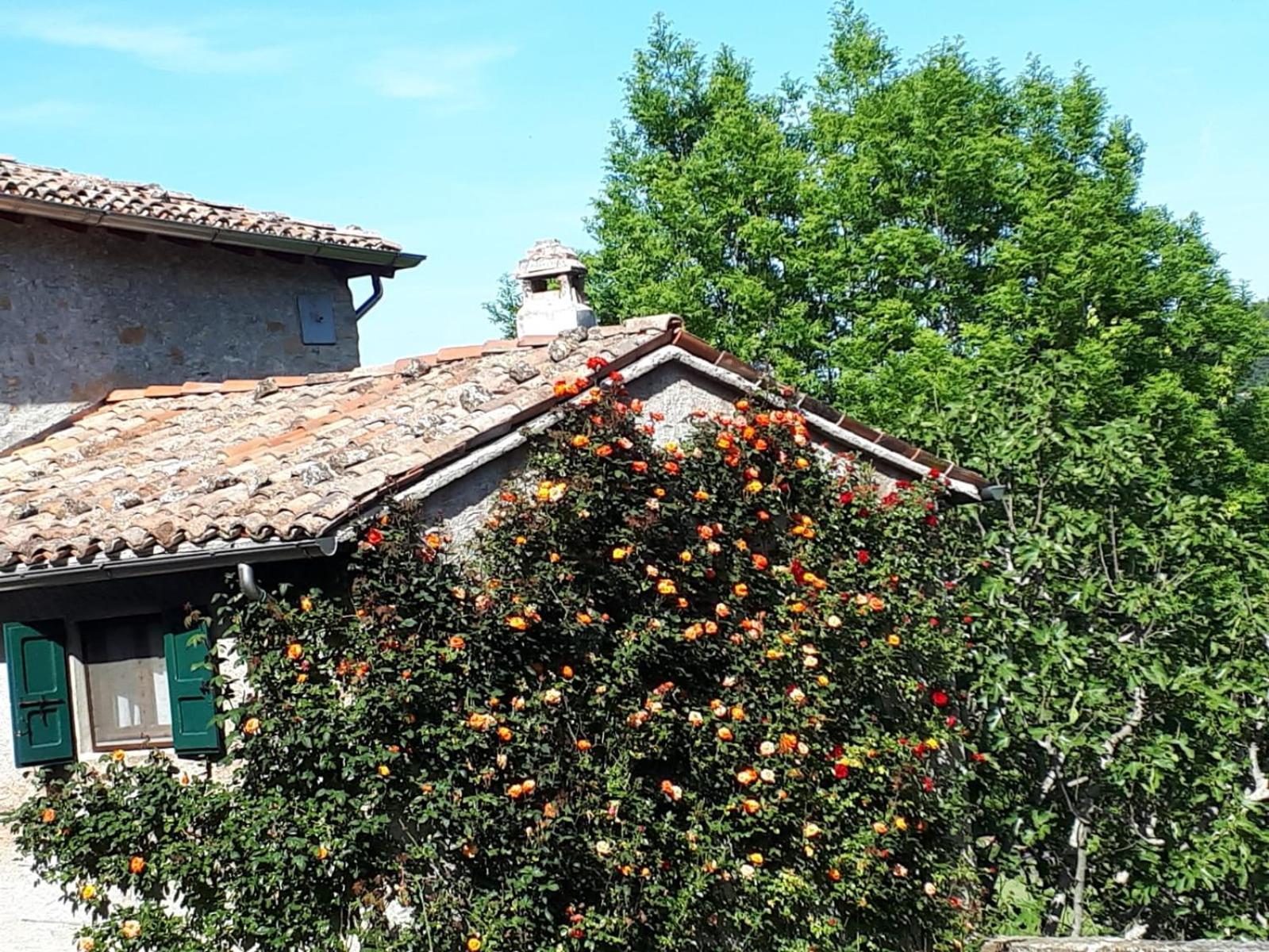 La Corte Bonomini Panzió Neviano degli Arduini Kültér fotó